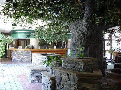 Grand Smokies Resort Lodge פיג'ן פורג' מראה חיצוני תמונה